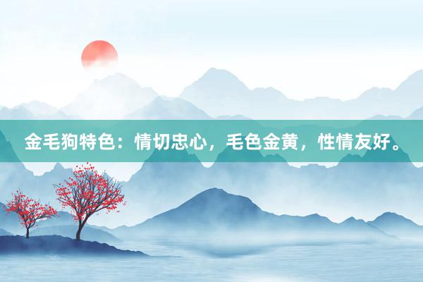金毛狗特色：情切忠心，毛色金黄，性情友好。